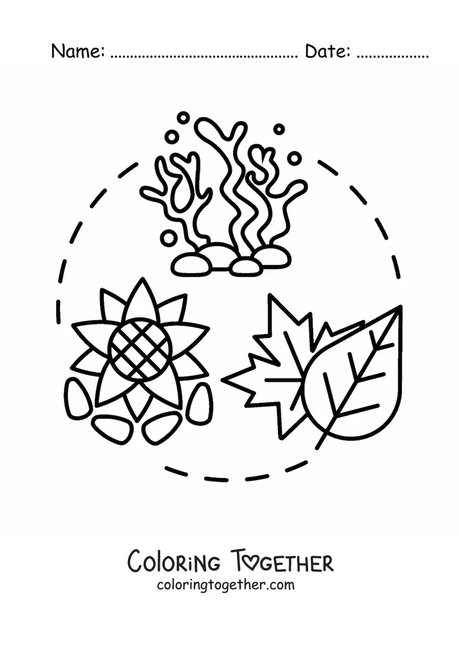 Coloring page of the plantae kingdom
