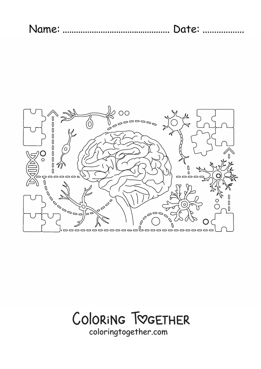 Coloring page of the human central nervous system