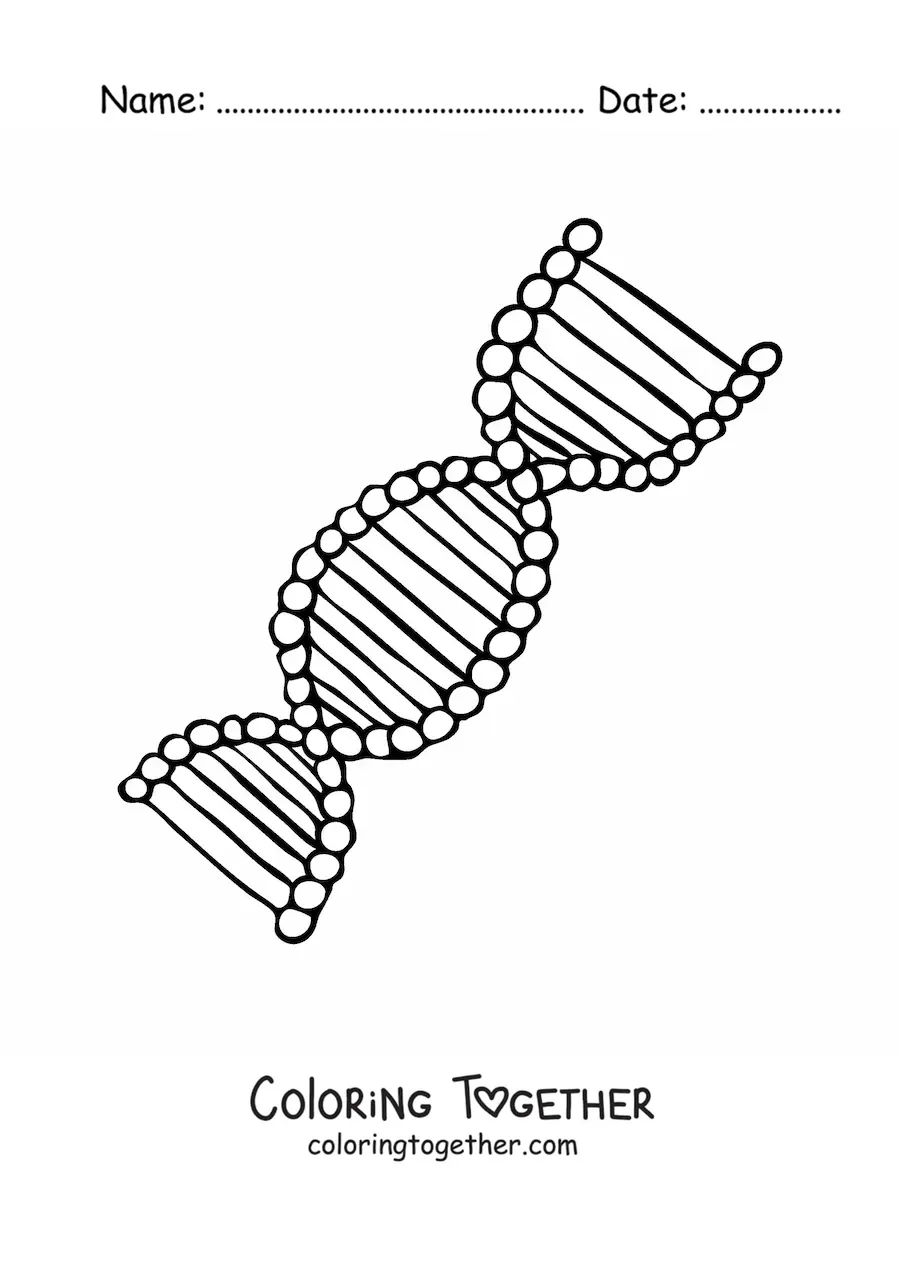 Coloring page of a DNA strand