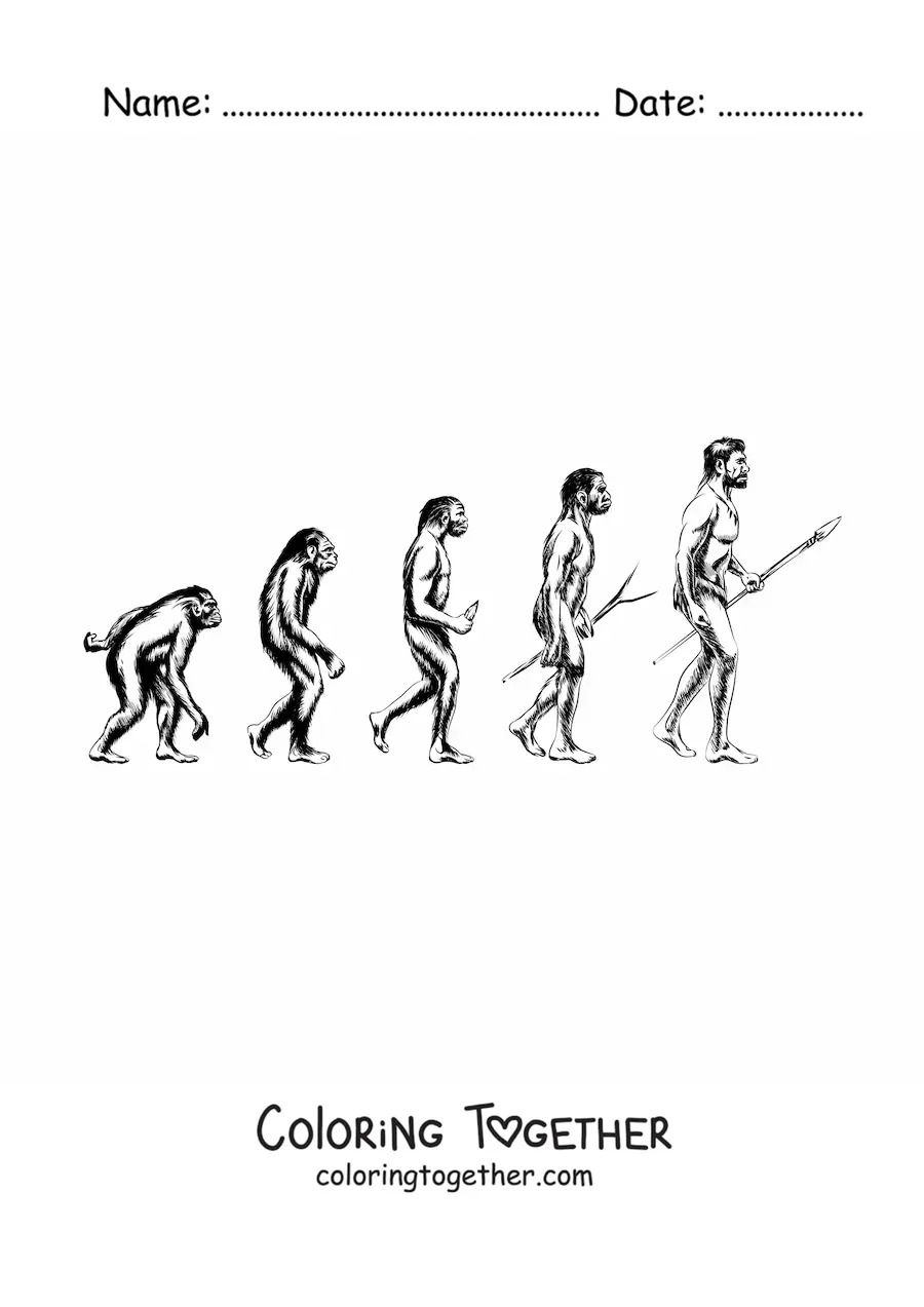 Coloring page of human evolution
