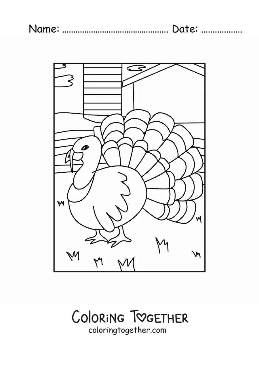 Coloring page of a peacock on the farm