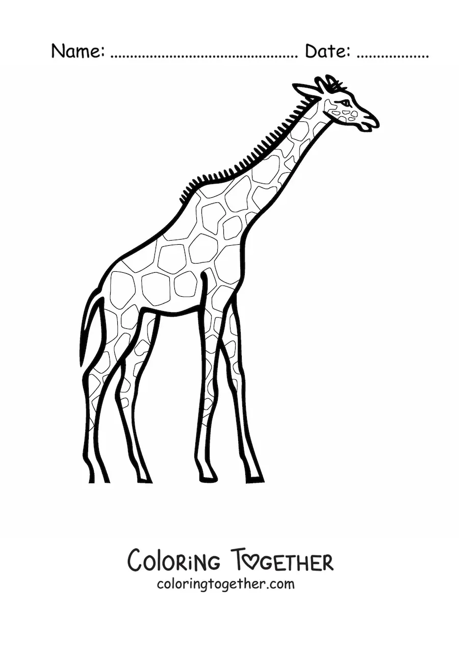 Coloring page of a giraffe looking to the right and stretching its neck