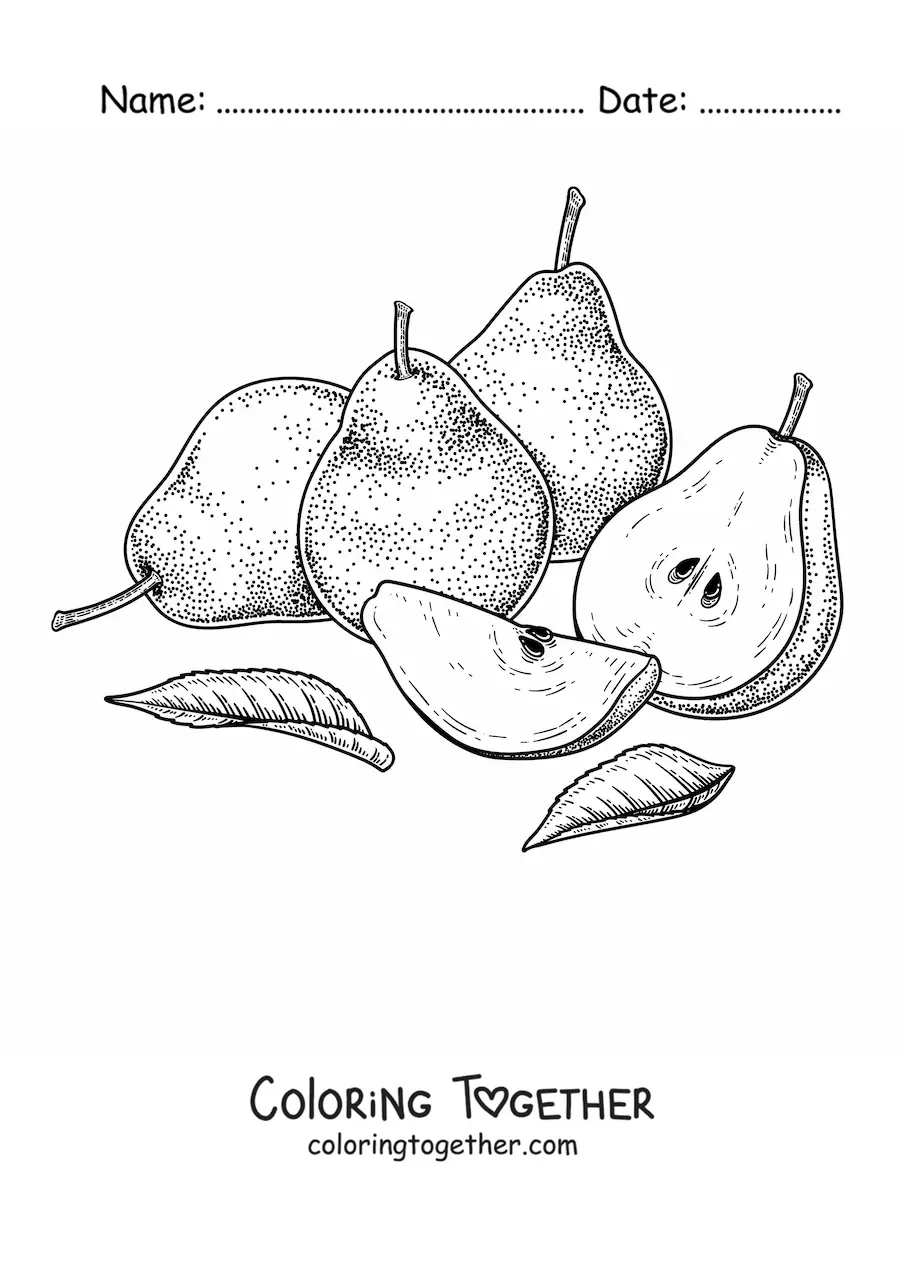 Coloring page of four sliced pears