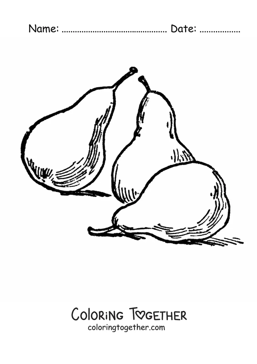 Coloring page of three whole pears