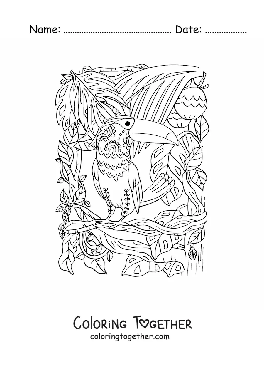 Coloring page of a toucan in the tropical rainforest