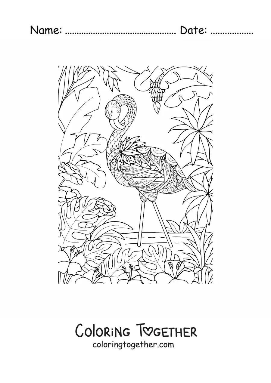 Coloring page of a wild flamingo