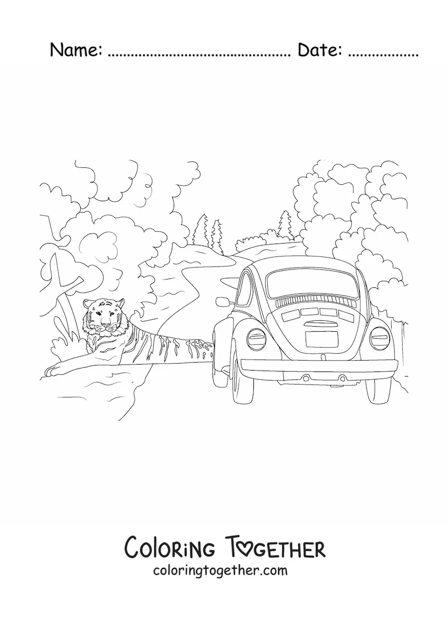 Coloring page of a wild tiger next to a car on a road through the jungle