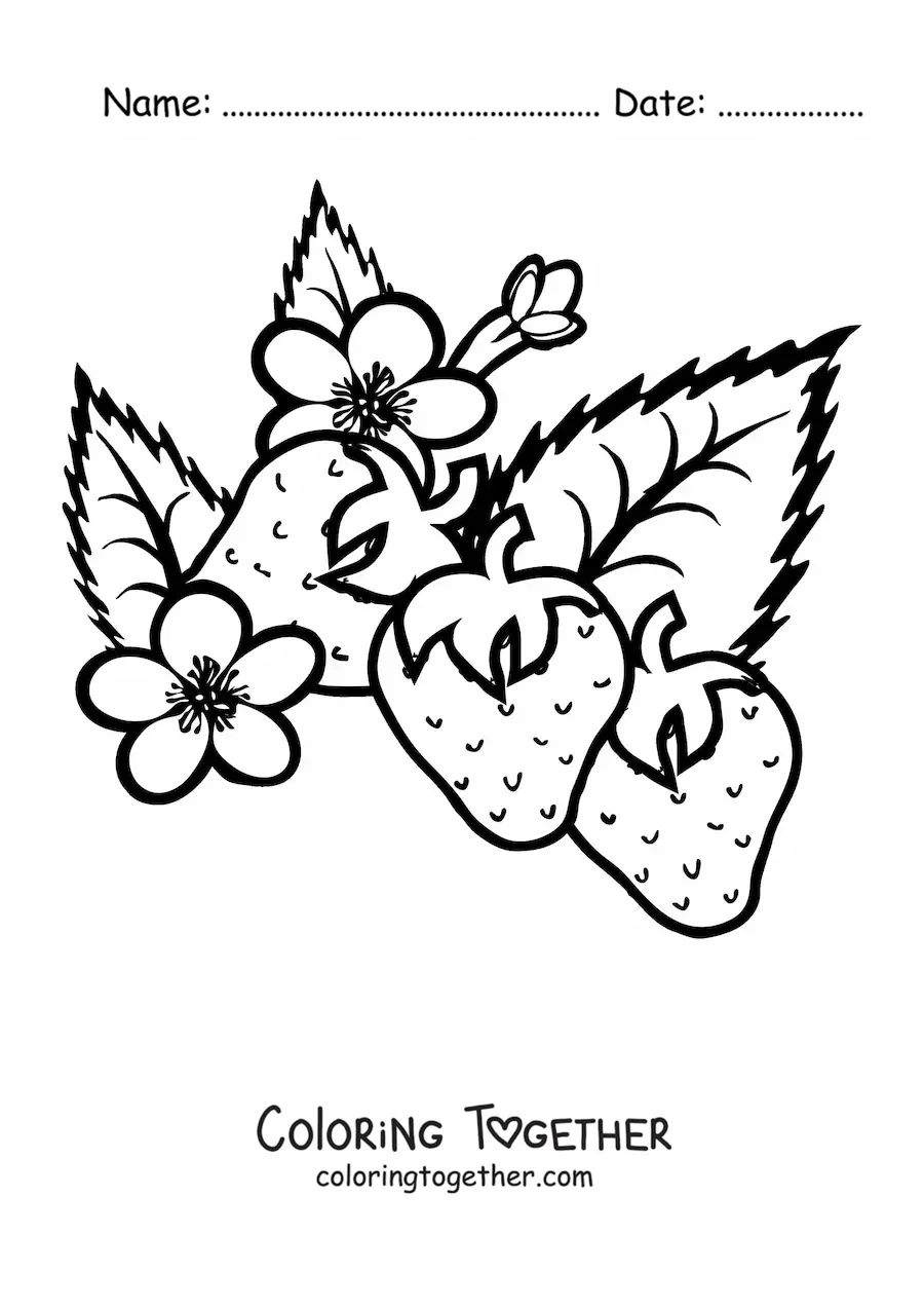 Coloring page of three strawberries and their flowers