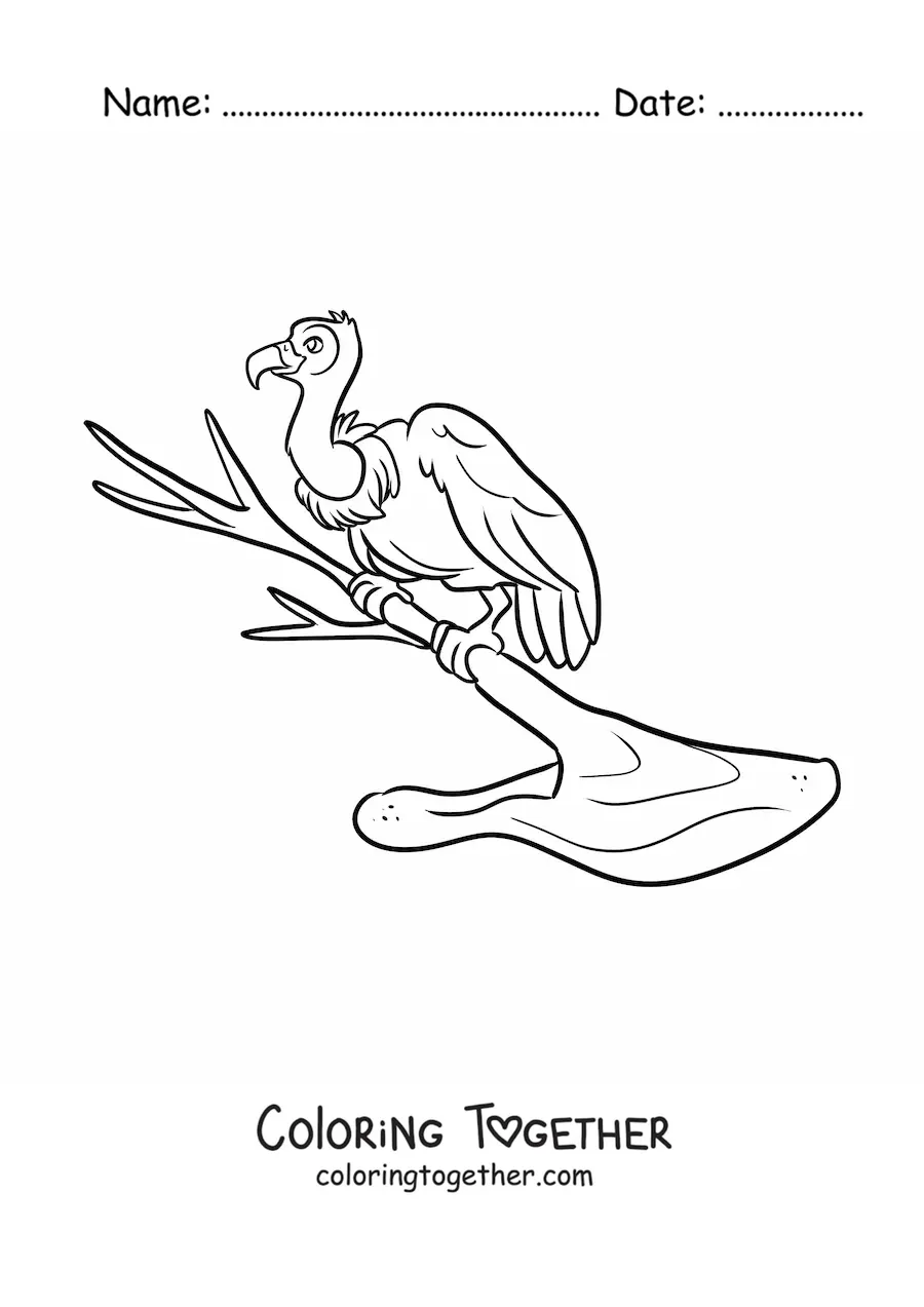 Coloring page of a desert vulture