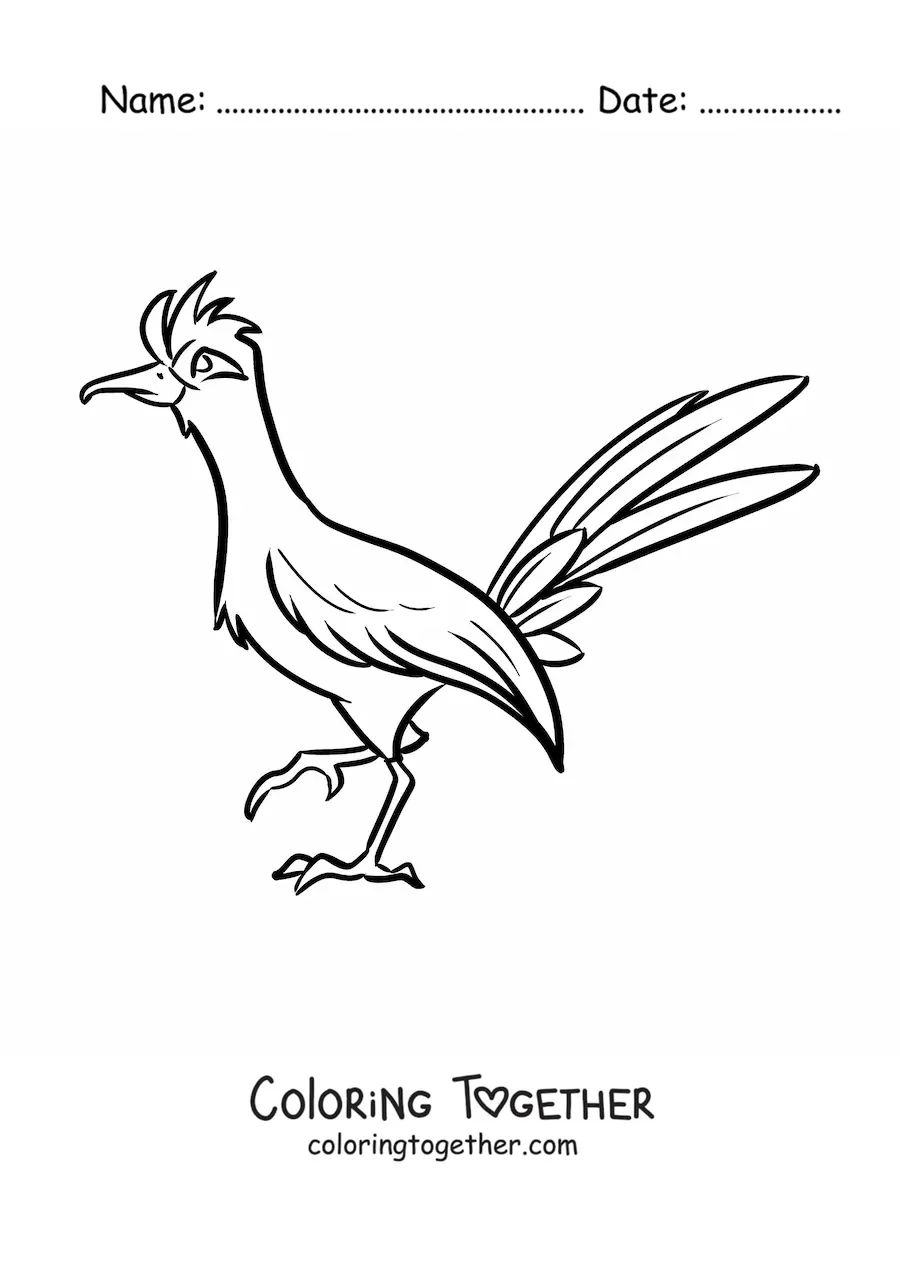 Coloring page of a roadrunner bird