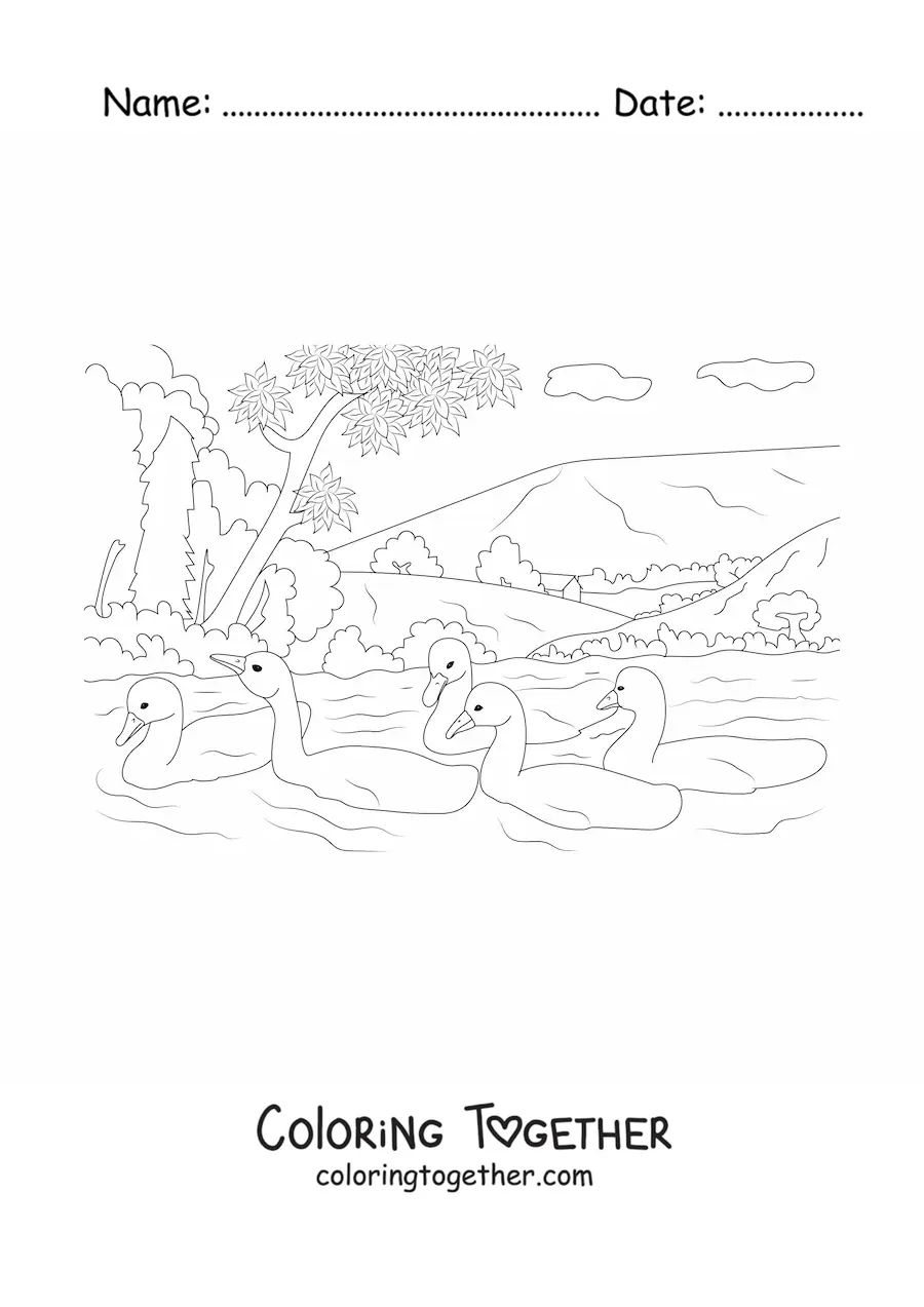 Coloring page of a lake with swans