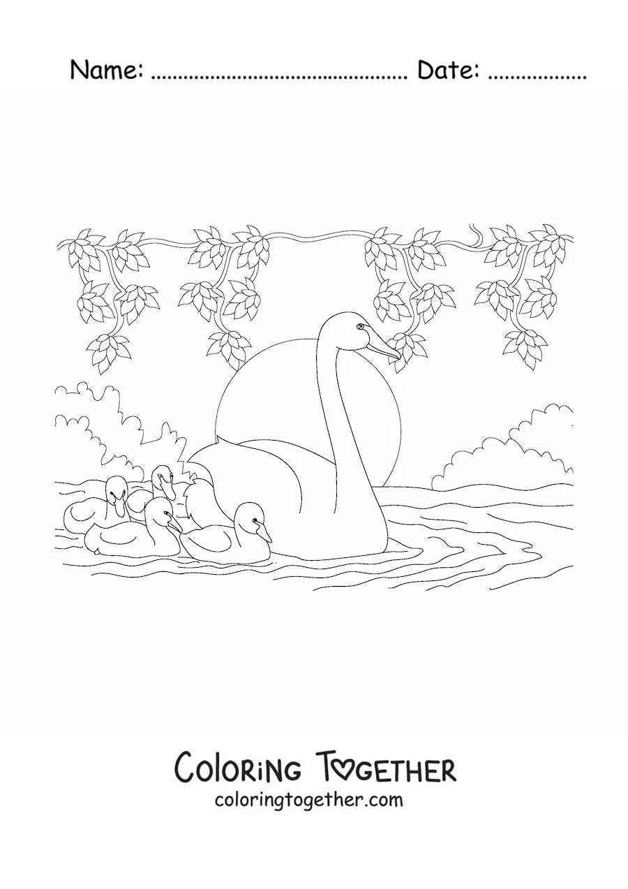 Coloring page of several swans swimming on the lake