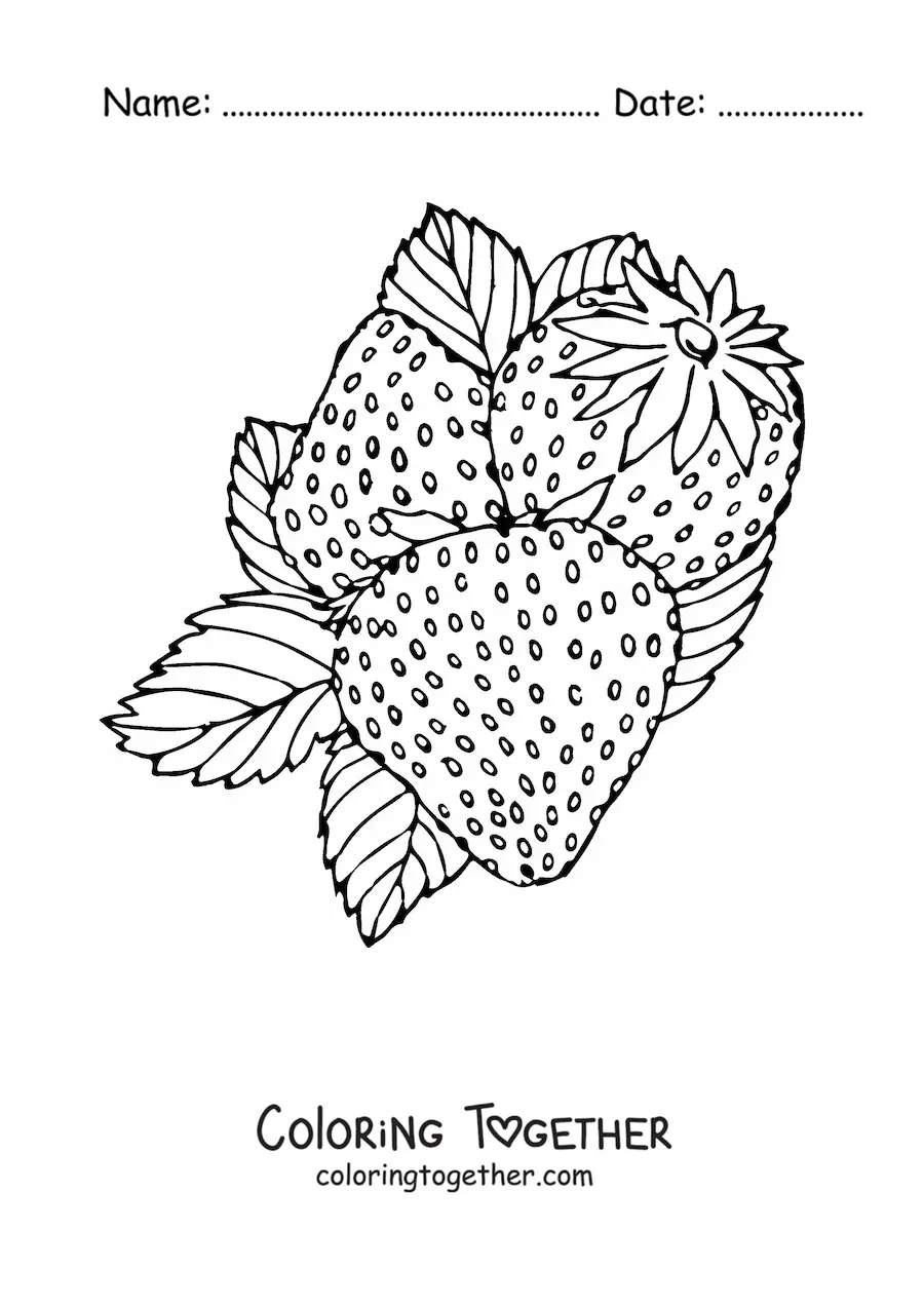 Coloring page of three wild strawberries with leaves