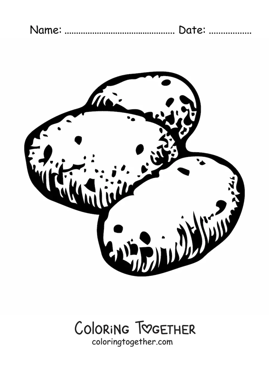 Coloring page of three raw potatoes