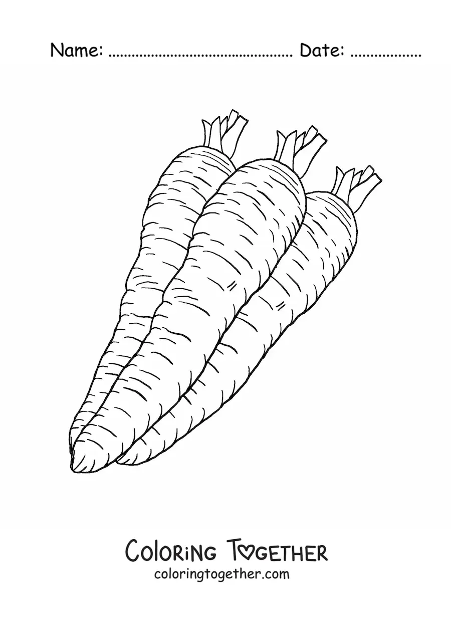 Coloring page of three realistic carrots