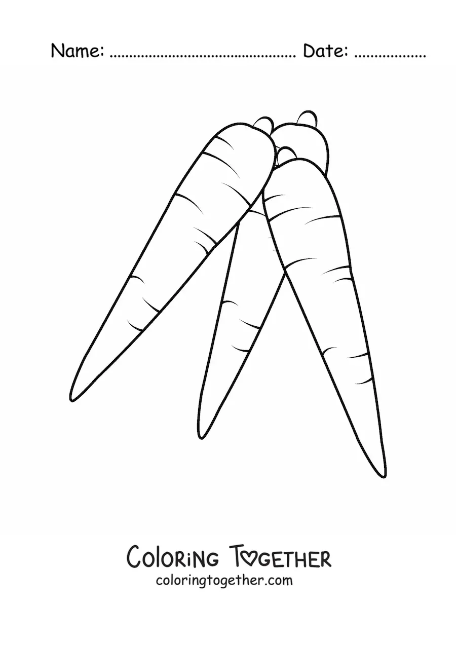 Coloring page of three carrots without leaves