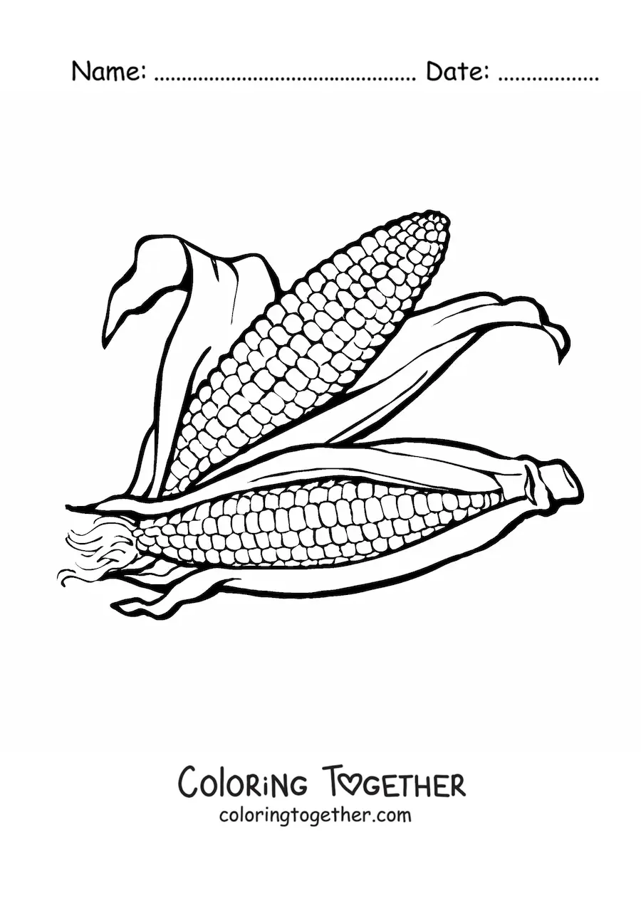Coloring page of two realistic corn cobs