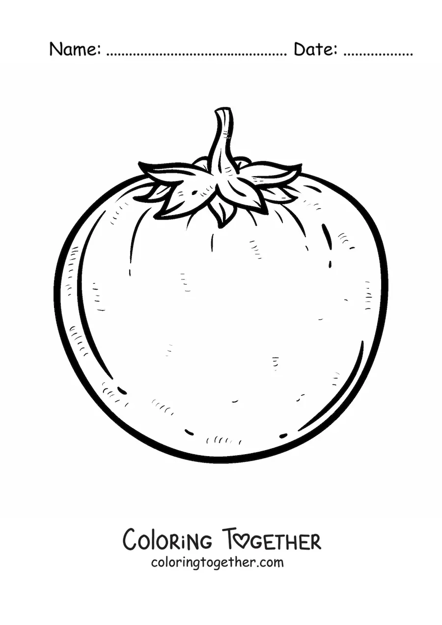 Coloring page of a realistic tomato