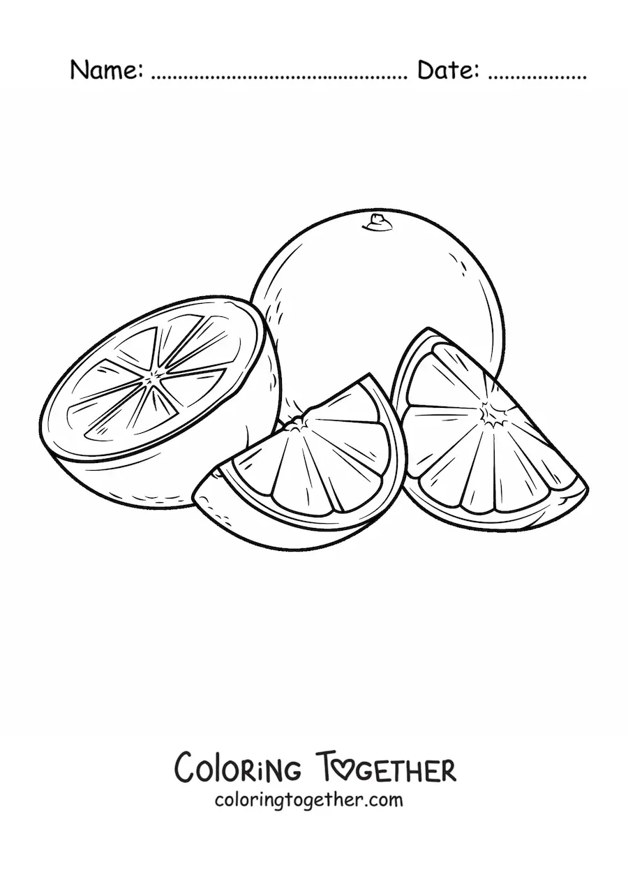 Coloring page of a whole orange next to slices of another orange