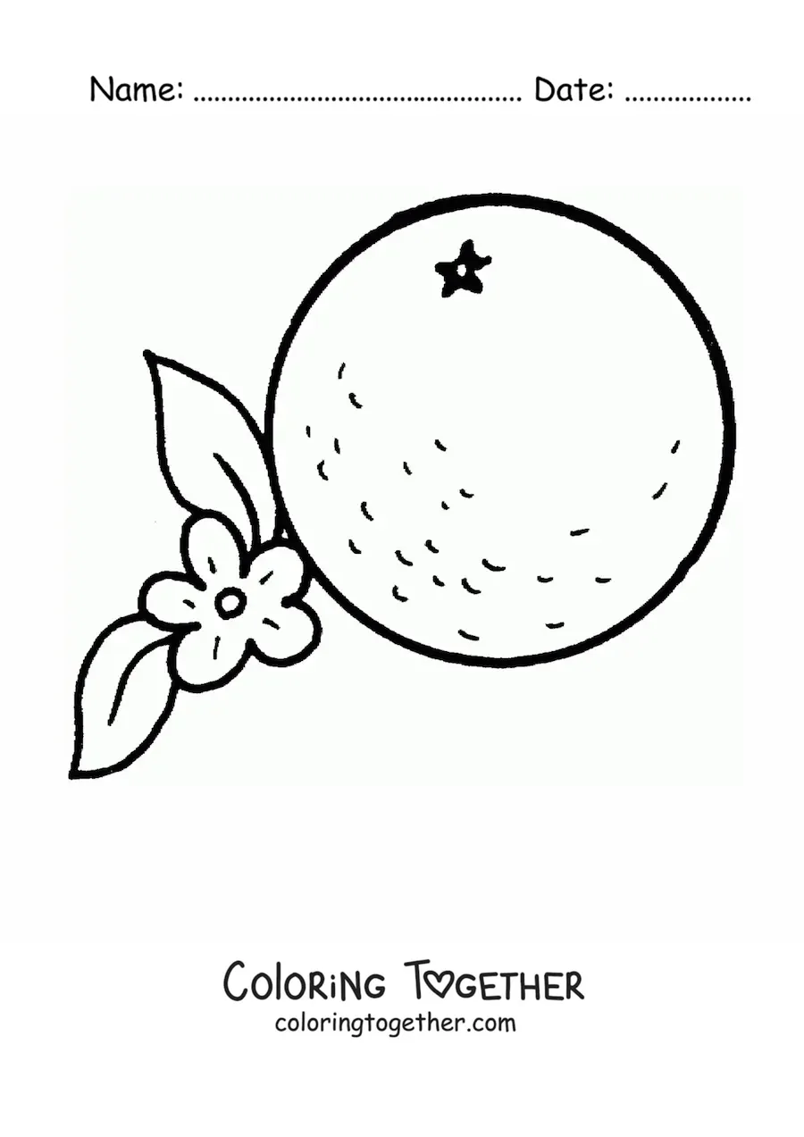 Coloring page of an orange next to its flower
