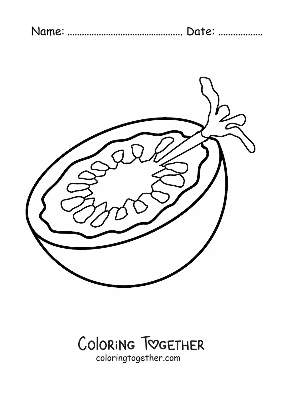 Coloring page of half a tomato