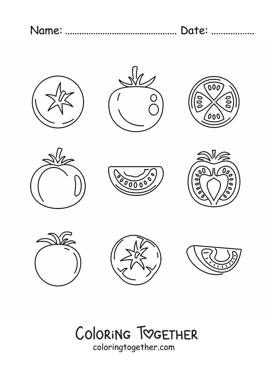 Coloring page of the parts of the tomato