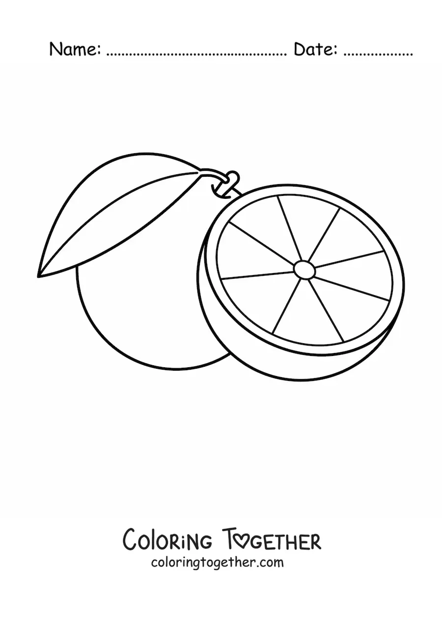 Coloring page of an orange and half an orange