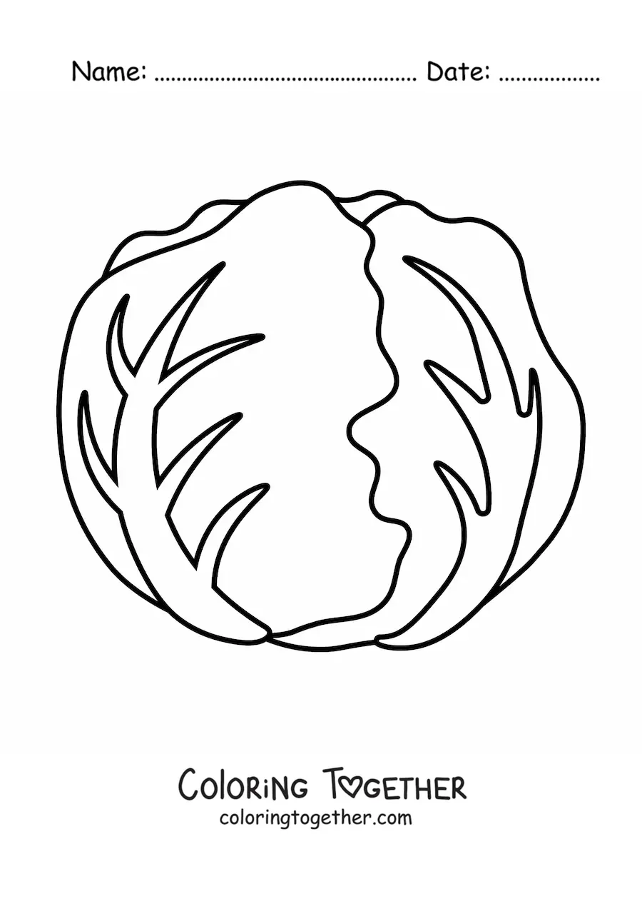 Coloring page of a crisphead lettuce