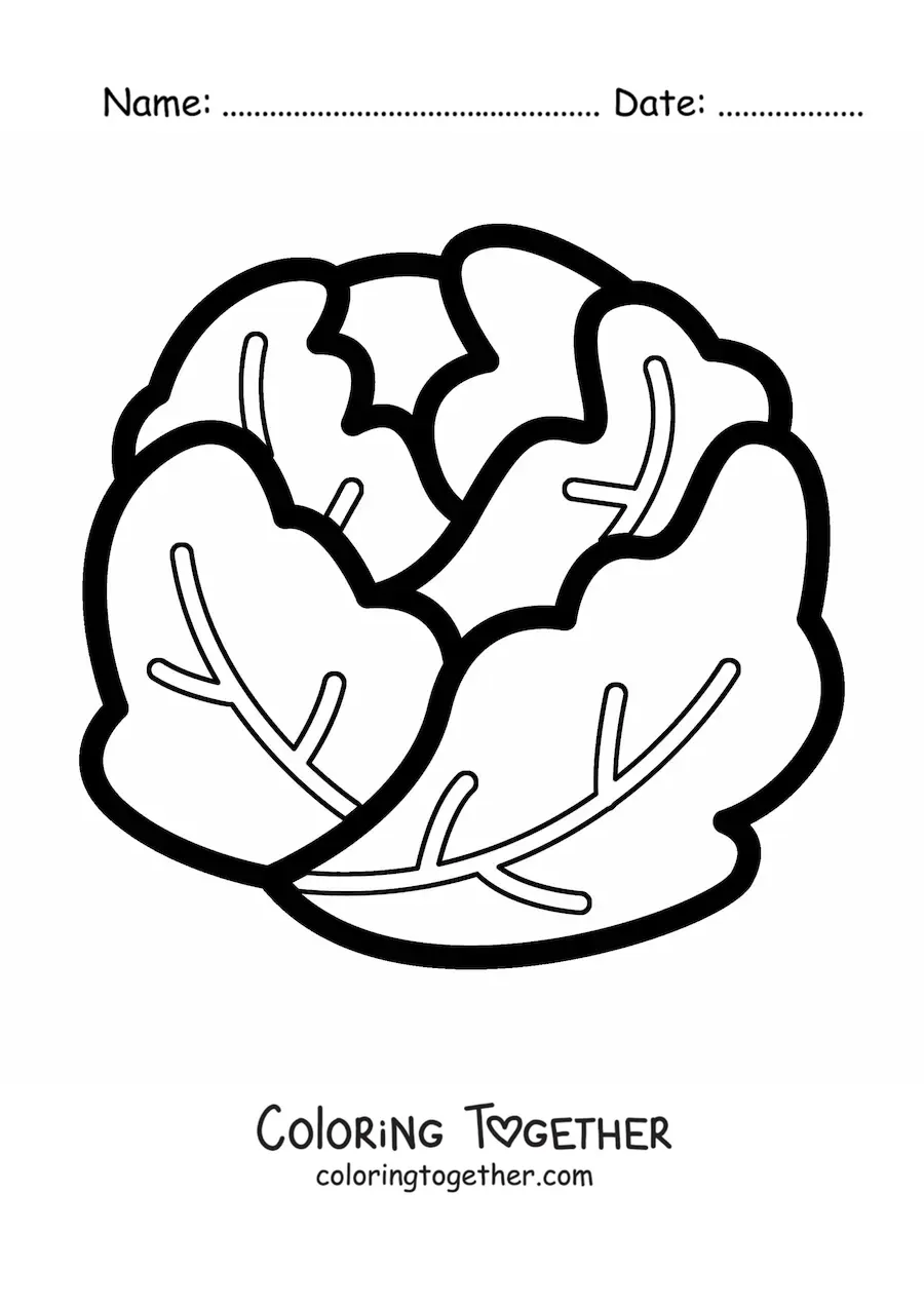 Coloring page of a simple crisphead lettuce