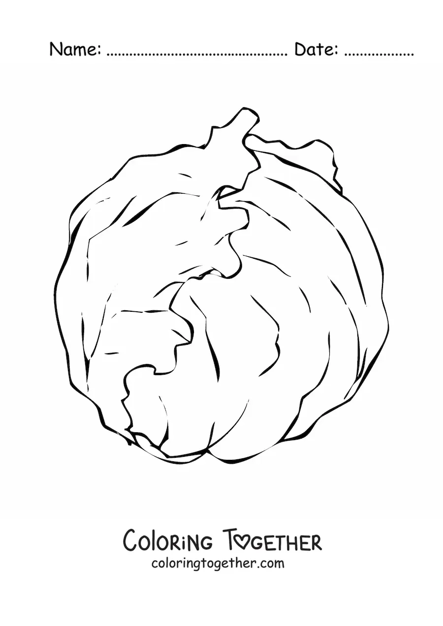 Coloring page of an iceberg lettuce