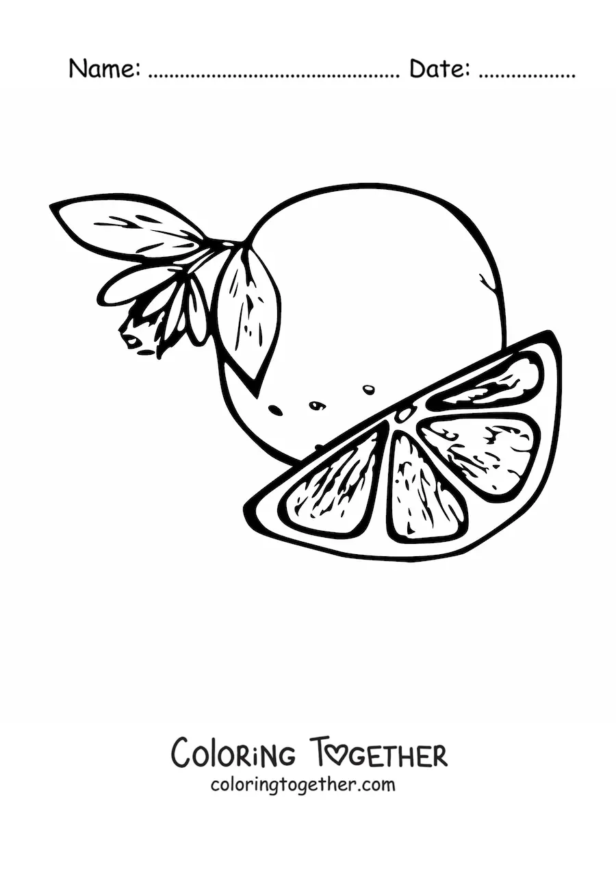 Coloring page of a slice of orange next to an orange with a flower