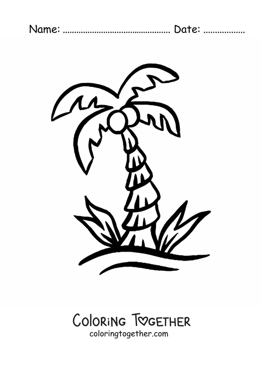 Coloring page of a palm tree with coconuts