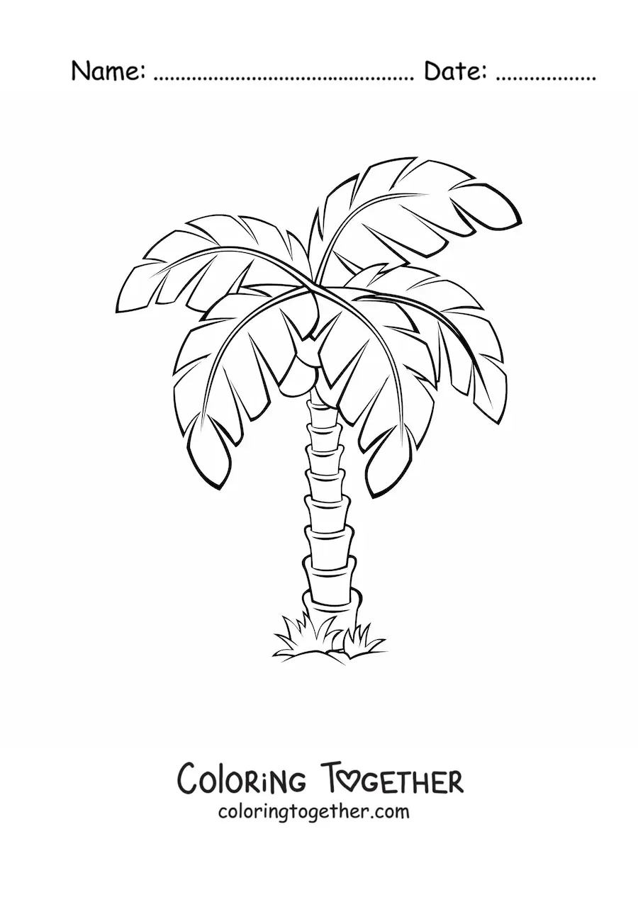 Coloring page of a simple palm tree