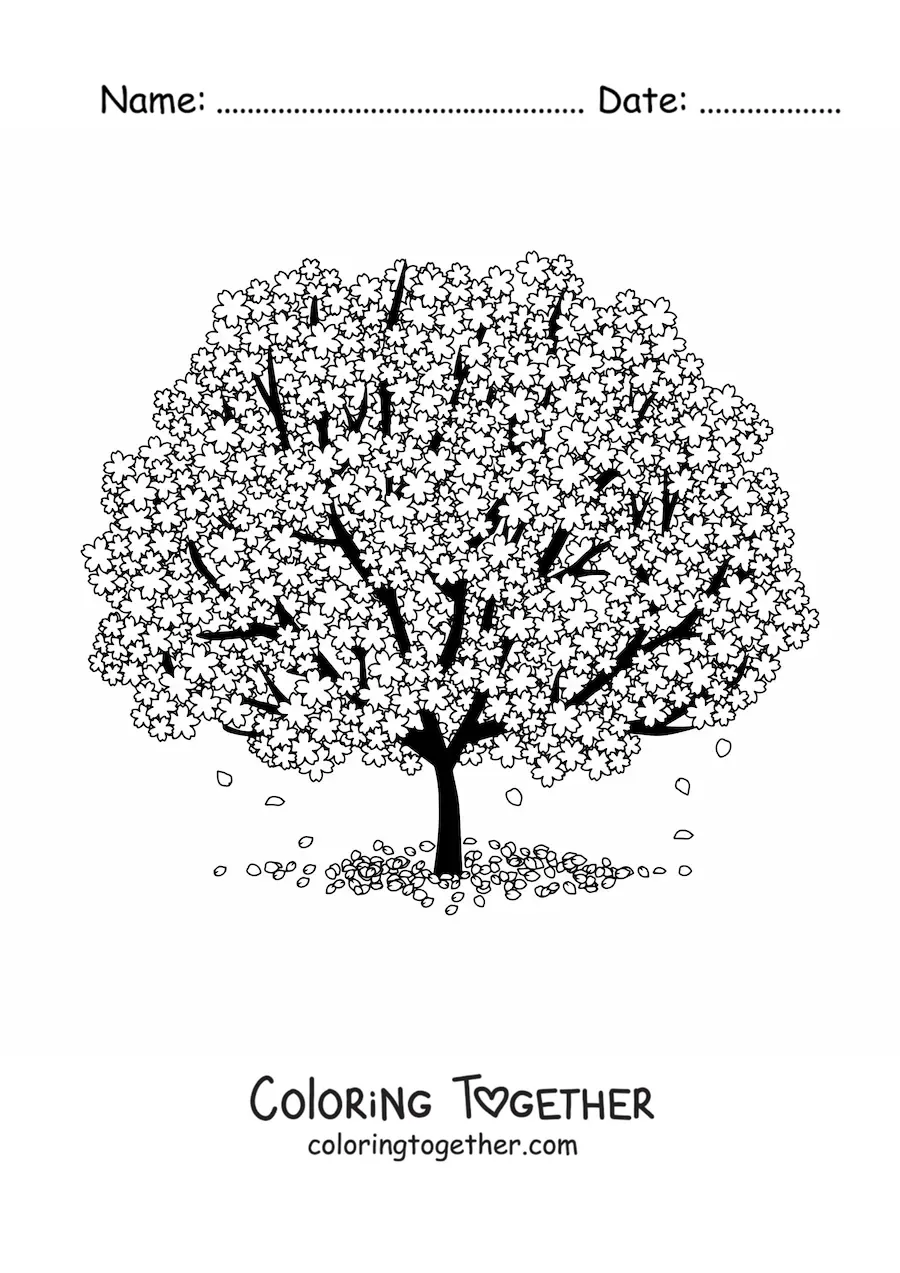 Coloring page of a cherry blossom tree in bloom
