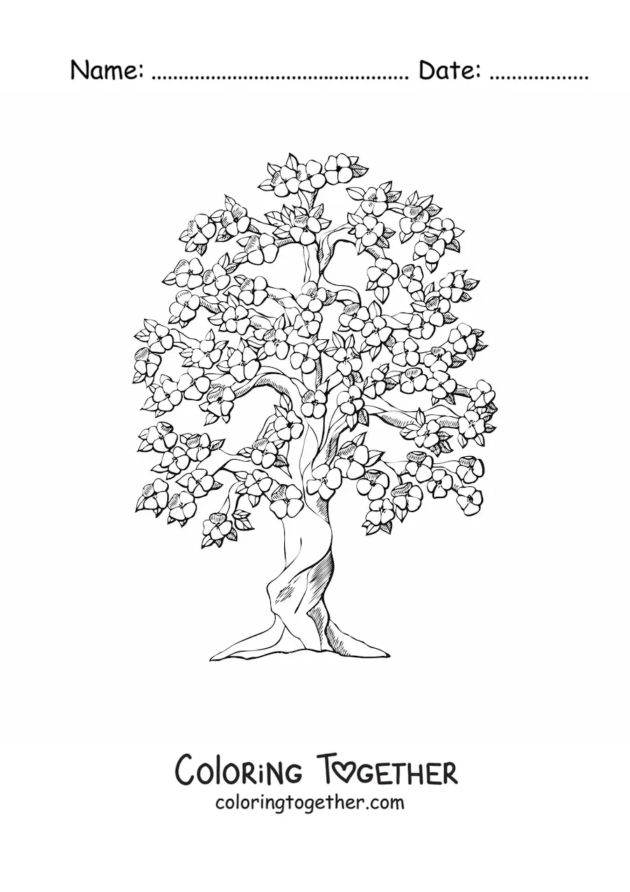 Coloring page of a cherry tree in bloom