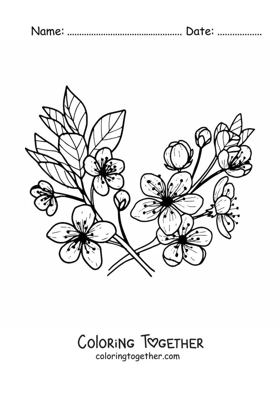 Coloring page of several cherry flowers and leaves
