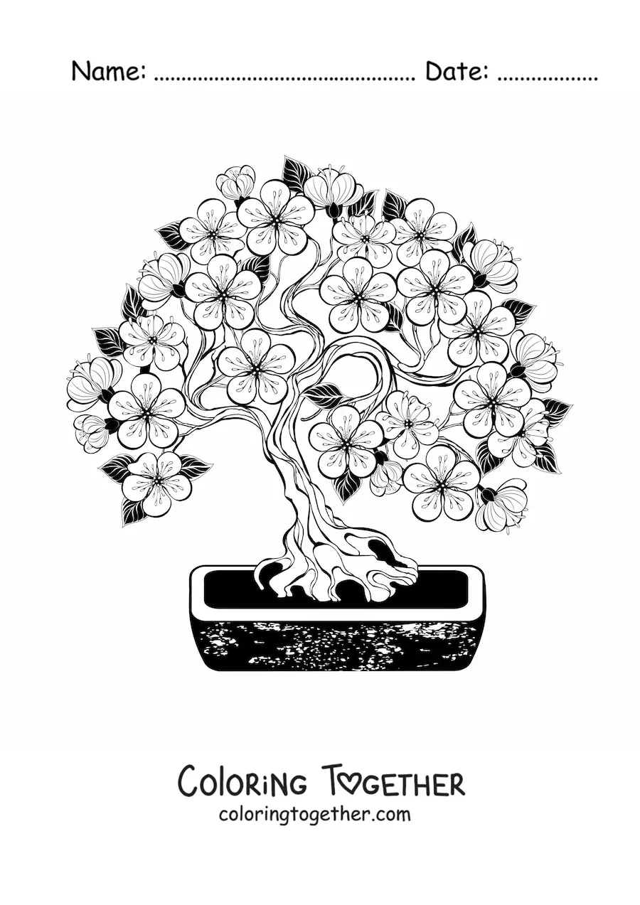 Coloring page of a cherry tree bonsai