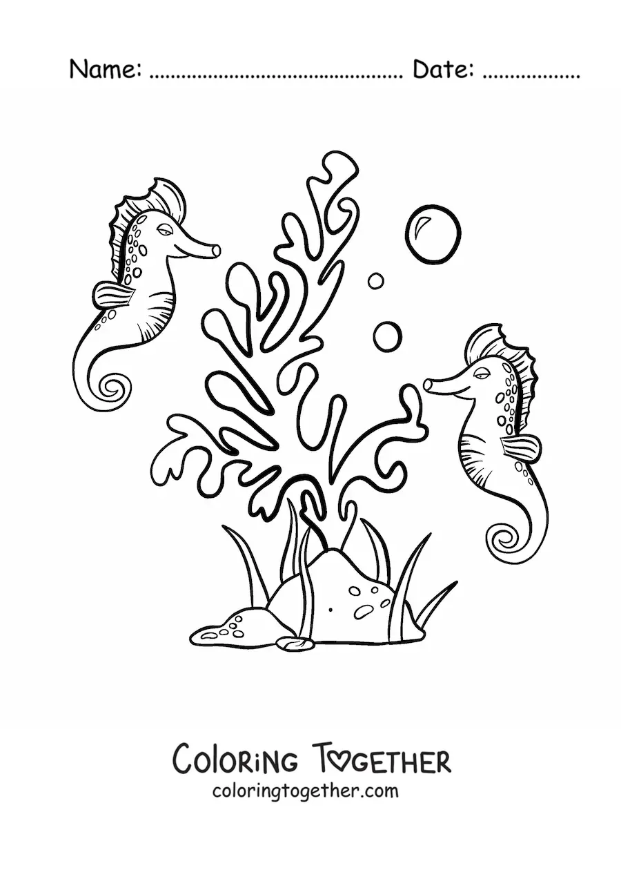 Coloring page of seaweed and two seahorses