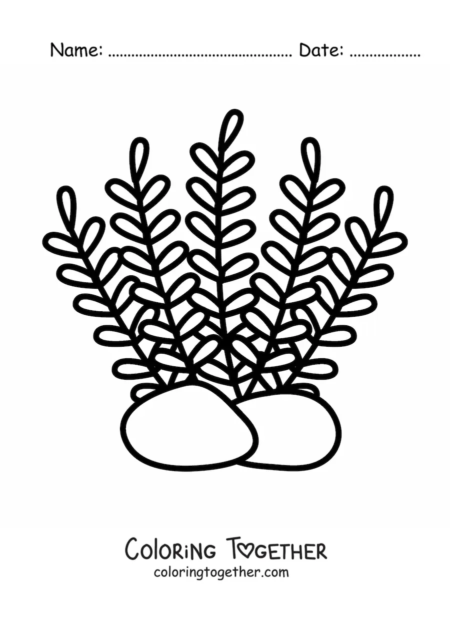 Coloring page of several strands of seaweed