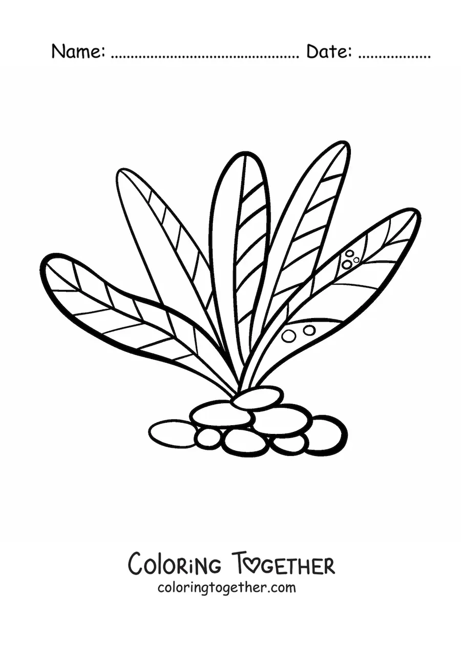 Coloring page of multicellular algae