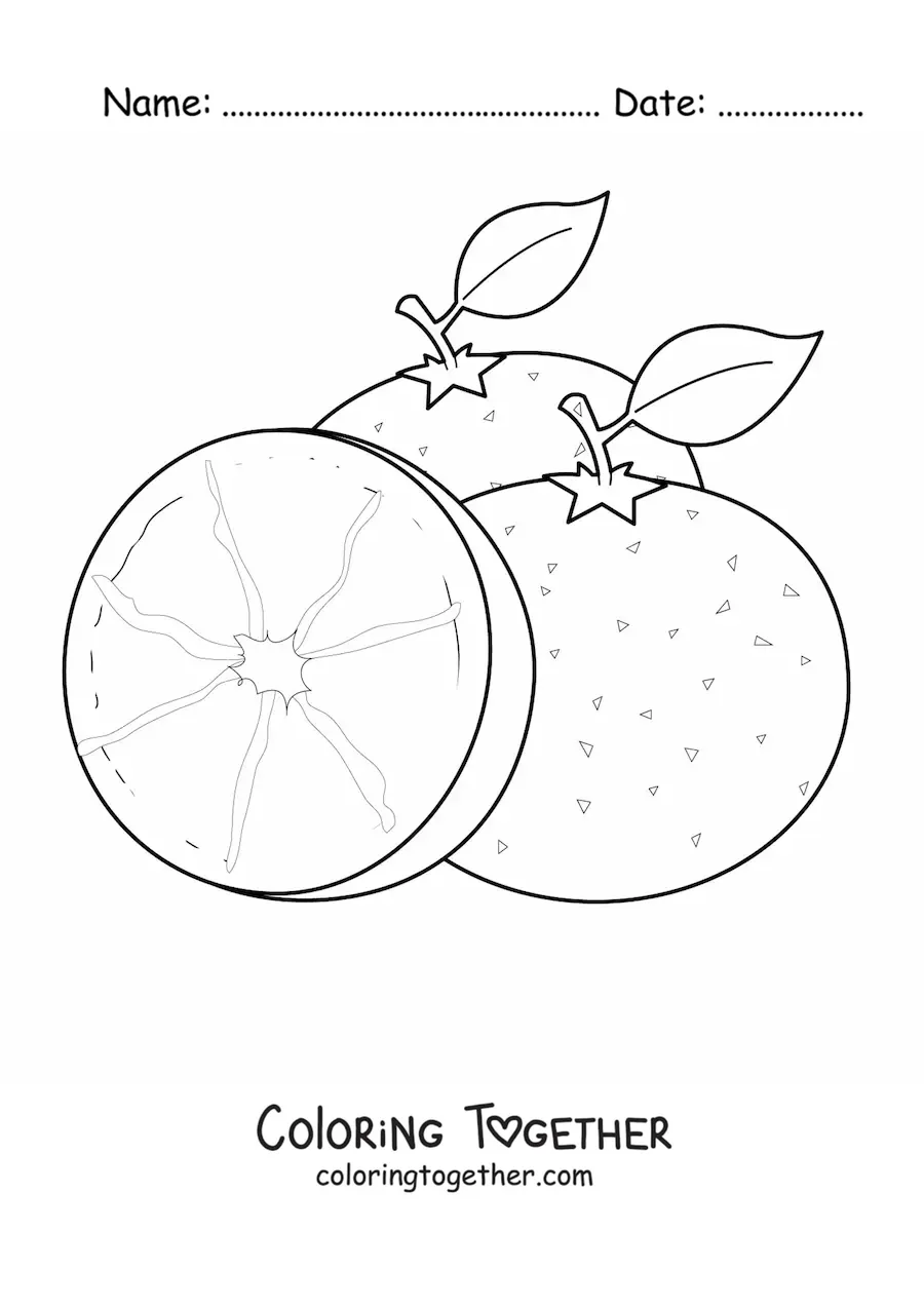 Coloring page of two oranges and half an orange