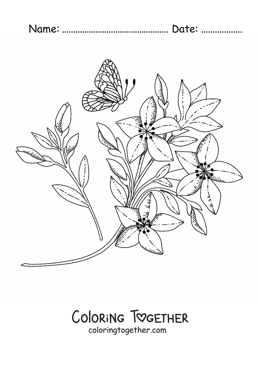 Coloring page of a butterfly flying toward some flowers