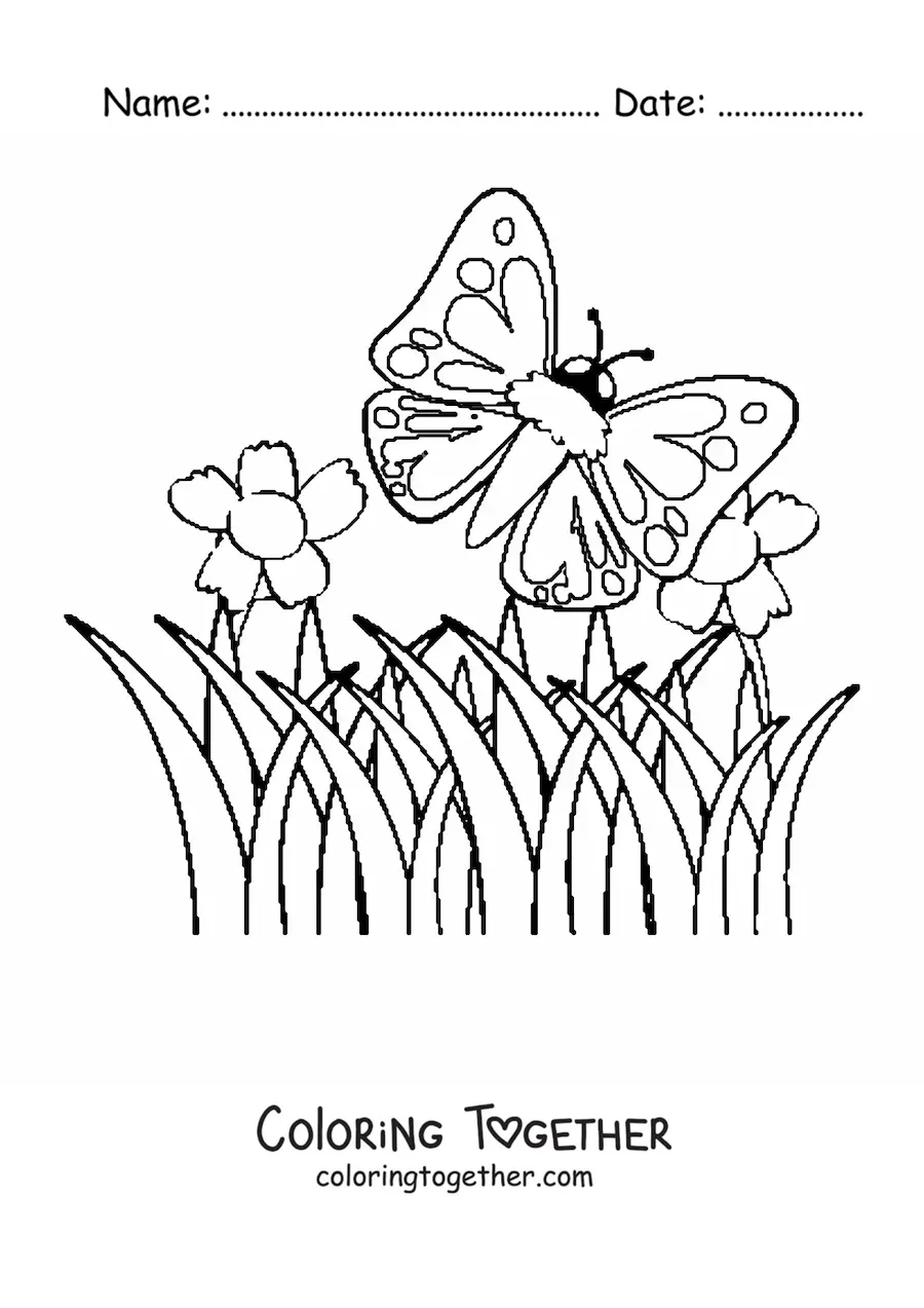 Coloring page of a butterfly flying over flowers in a field