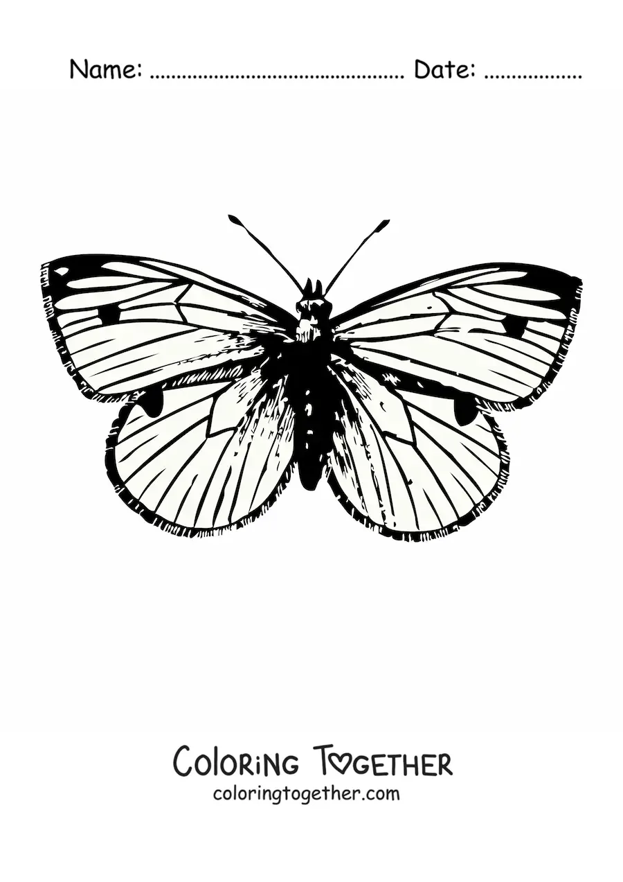 Coloring page of a realistic butterfly with spots on its wings