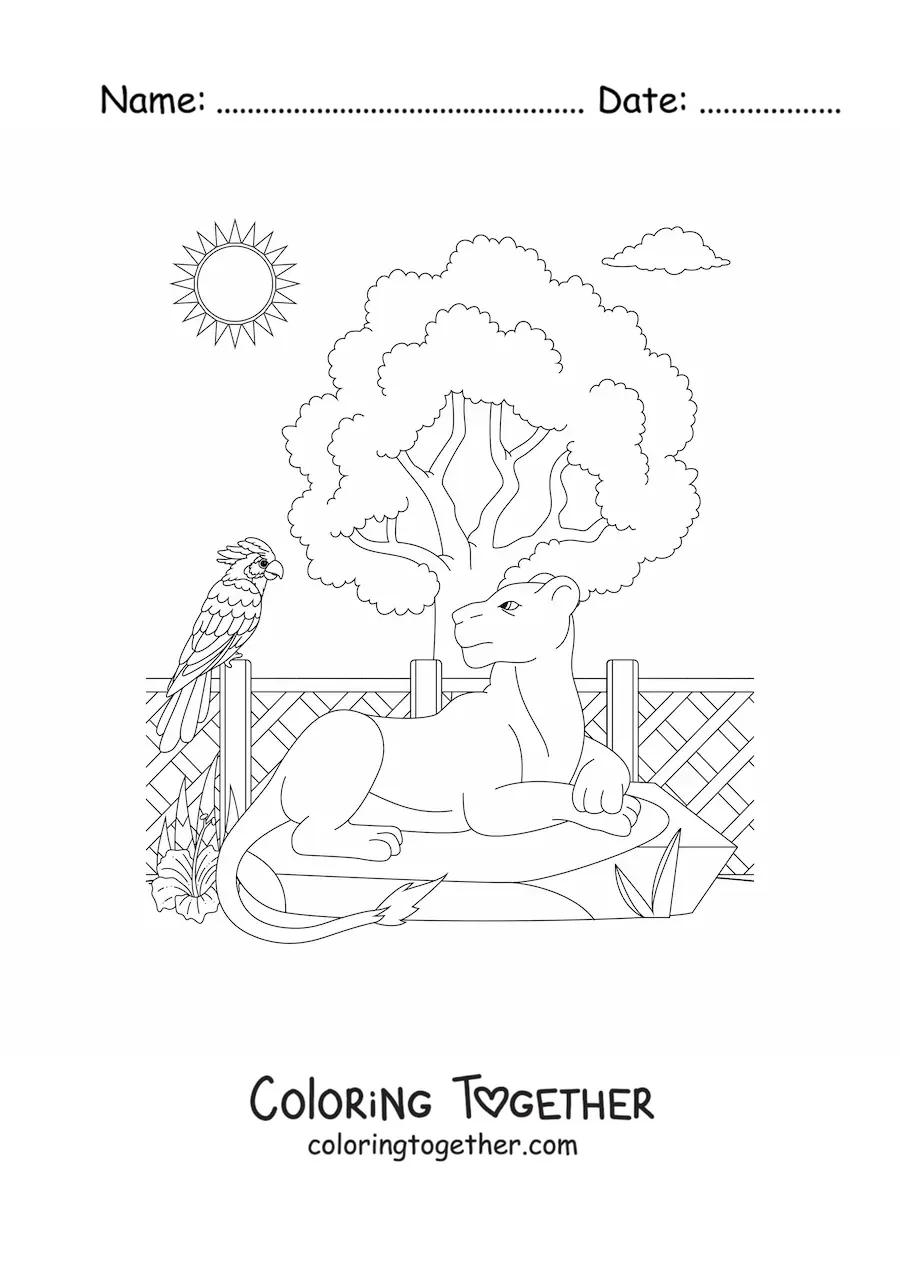 Coloring page of a lioness lying down beside a bird and a tree at the zoo