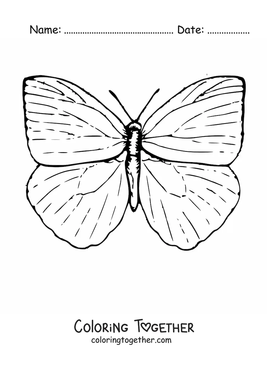 Coloring page of a butterfly with open wings