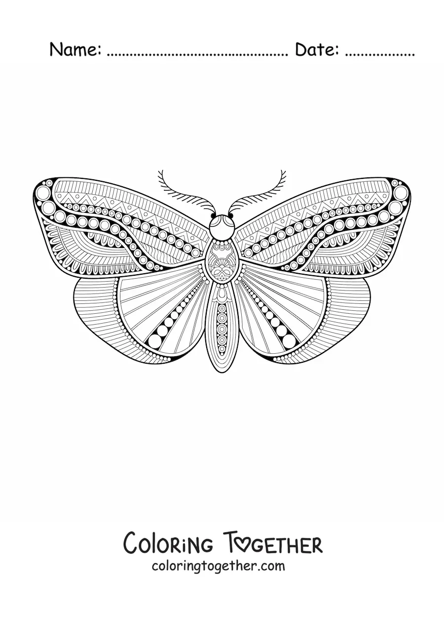 Coloring page of a butterfly mandala