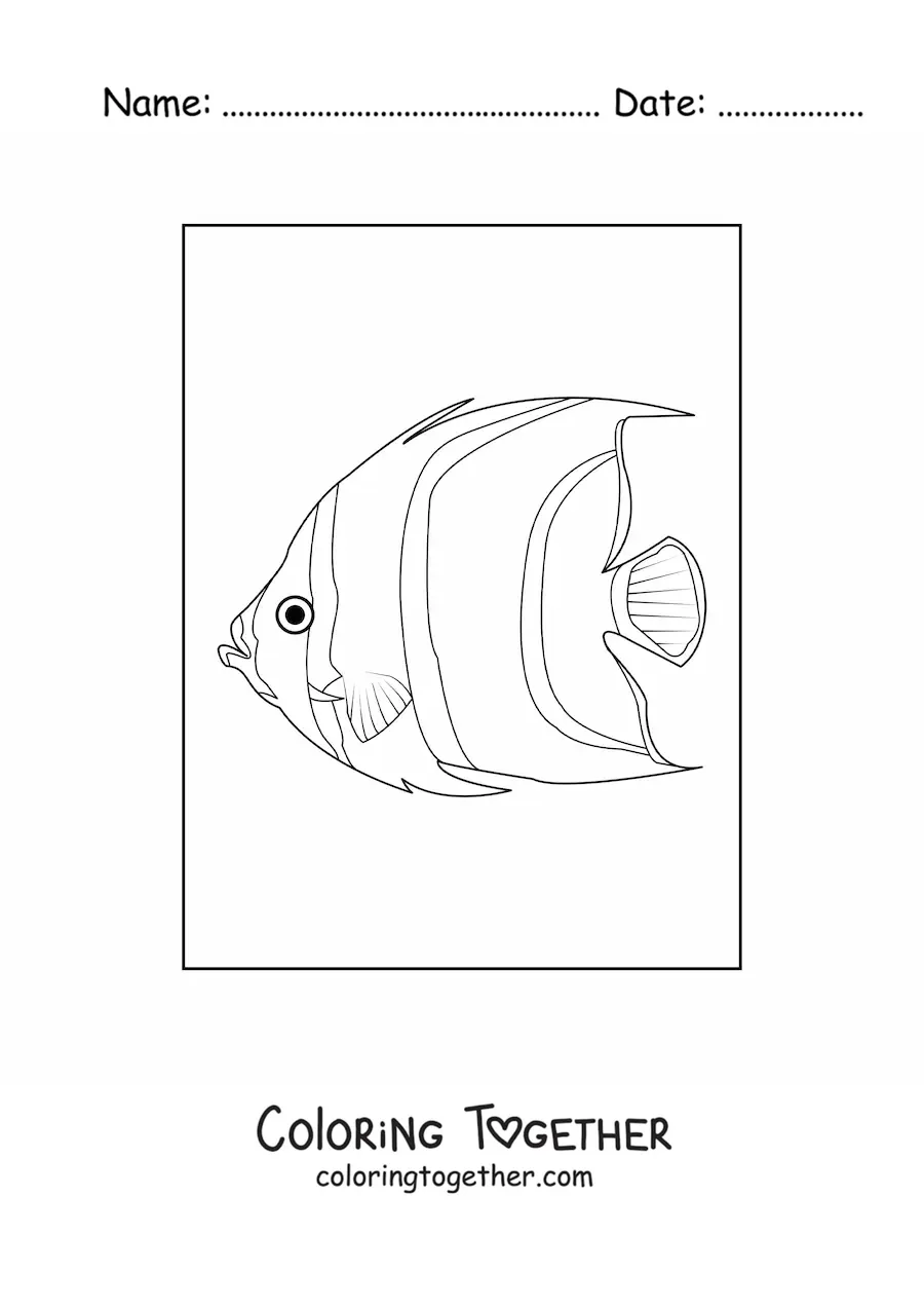 Coloring page of a realistic angelfish