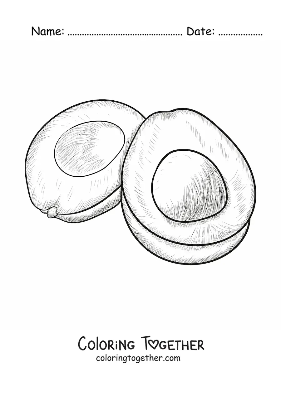 Coloring page of an avocado drawn in a realistic style