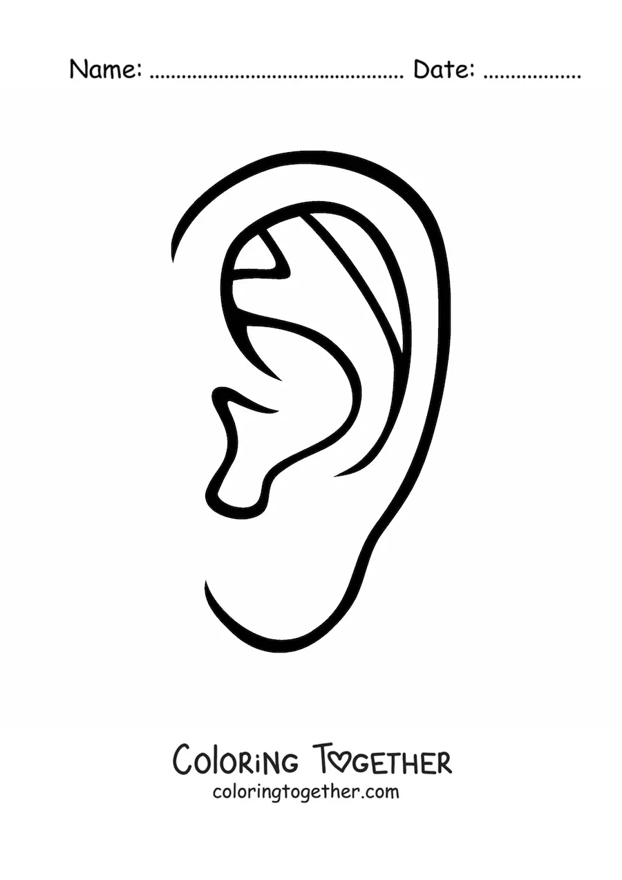 Coloring page of the human ear